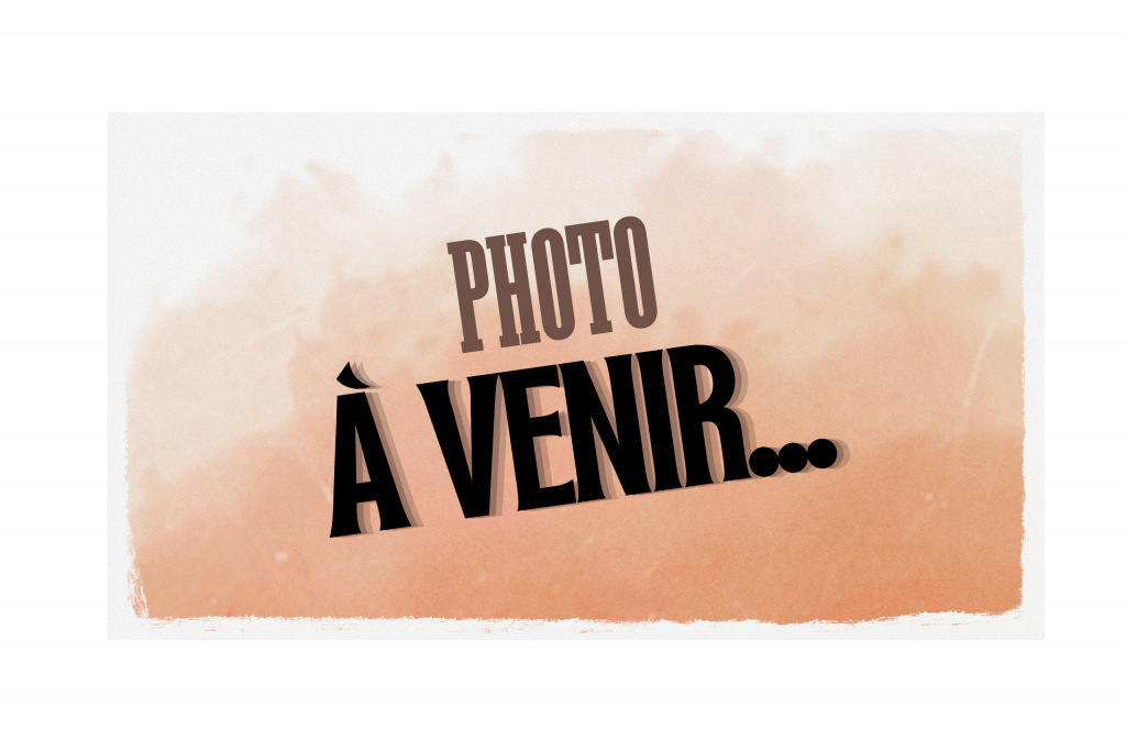 Photo à venir...